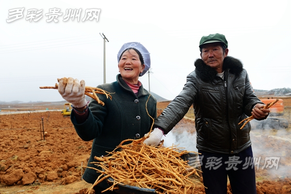 （大扶贫）贵州：发出“号令”使出“秘籍” 全力打好脱贫攻坚四场硬仗