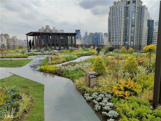 【圖説上海】上海2022年立體綠化總量達550萬平米以上