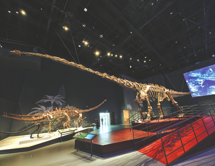 （转载）国际化设计团队把蜀山、蜀水、蜀道融入建筑 成都自然博物馆“蜀味”十足