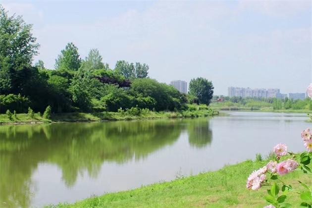 西安市曲江池等3个河湖被命名为“陕西省幸福河湖”