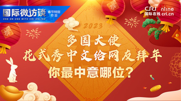 【国际微访谈】多国大使花式秀中文给网友拜年 你最中意哪位？