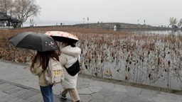 杭州：陰冷上線 降雨偏弱