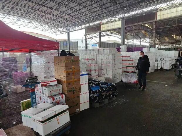 【圖説上海】雙節將至確保供應量足價穩 上海全力守護市民“菜籃子”