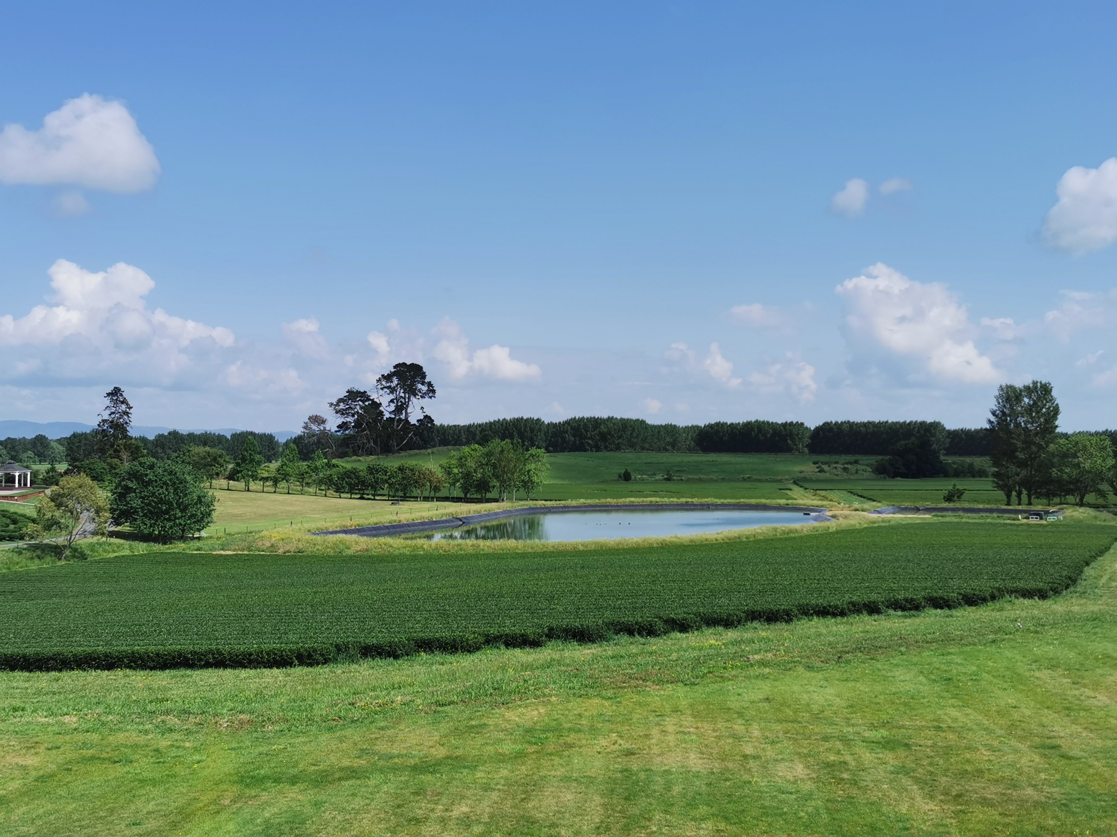 出海观茶 | 人民需要什么茶？杨庚诺：有机是茶文化理念新的里程_fororder_WechatIMG5664