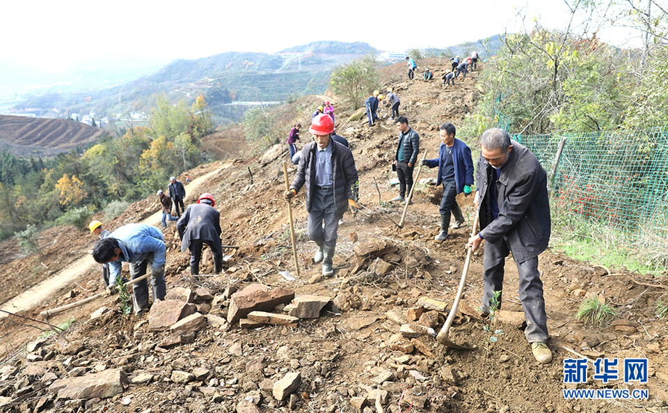 湖北20年累計完成退耕還林工程1775.46萬畝