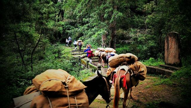 四川昭化积极创天府旅游名县 助推乡村振兴提档升级