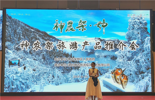 【急稿】【湖北】【客户稿件】湖北神农架景区2019旅游推介会在广州举办