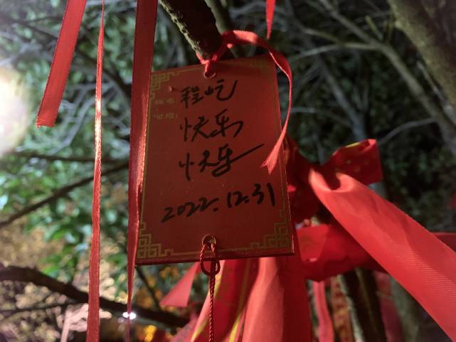 接福啦！兩岸四地及海外黃大仙道觀共祈2023“福澤安康”_fororder_W020230101333361199021