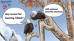 【Editorial Cartoon】US always uses national security as an excuse