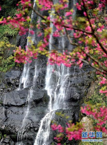 高达80米的乌来瀑布倾泻而下（3月4日摄）。新华社记者 岳月伟摄