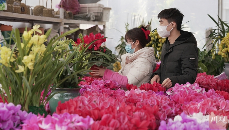 （转载）百花争艳闹新春 把不远的春天带回家