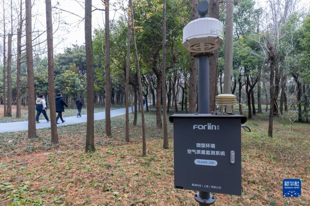 【聚焦上海-滚动图】上海首批环城生态公园建成开放_fororder_3