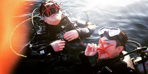 权志龙“抓海星”拍照被批不良示范引热议