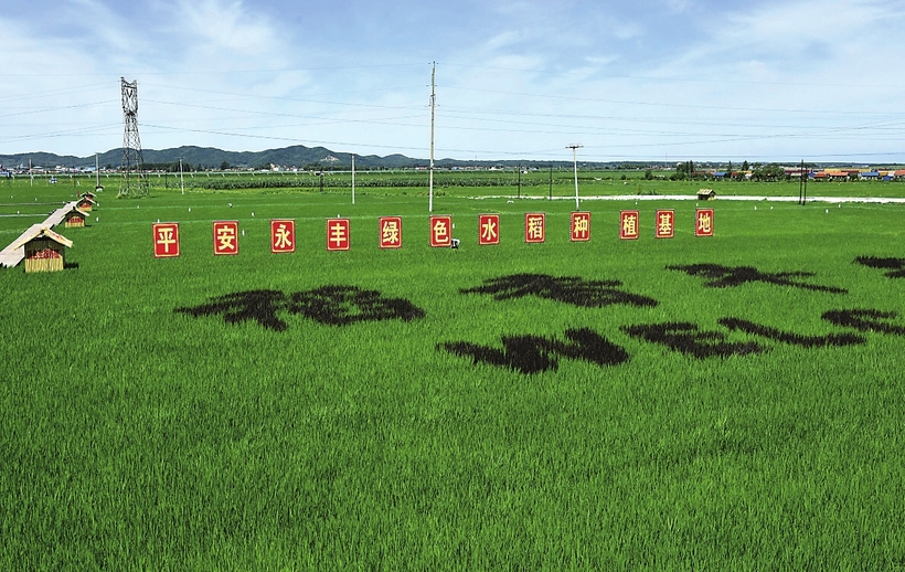 吉林省农业生产向着率先实现农业现代化的目标挺进