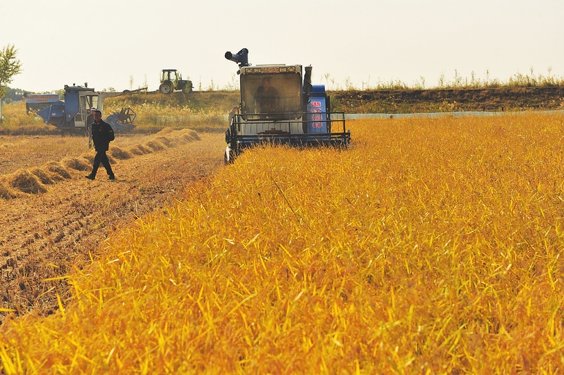 吉林省农业生产向着率先实现农业现代化的目标挺进