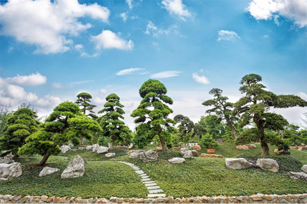 成都市新增1家省级森林康养和13家森林人家_fororder_未标题-3