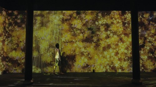 光影艺术点亮“绍兴黄酒小镇” 打造穿越古今的潮流文化聚集地