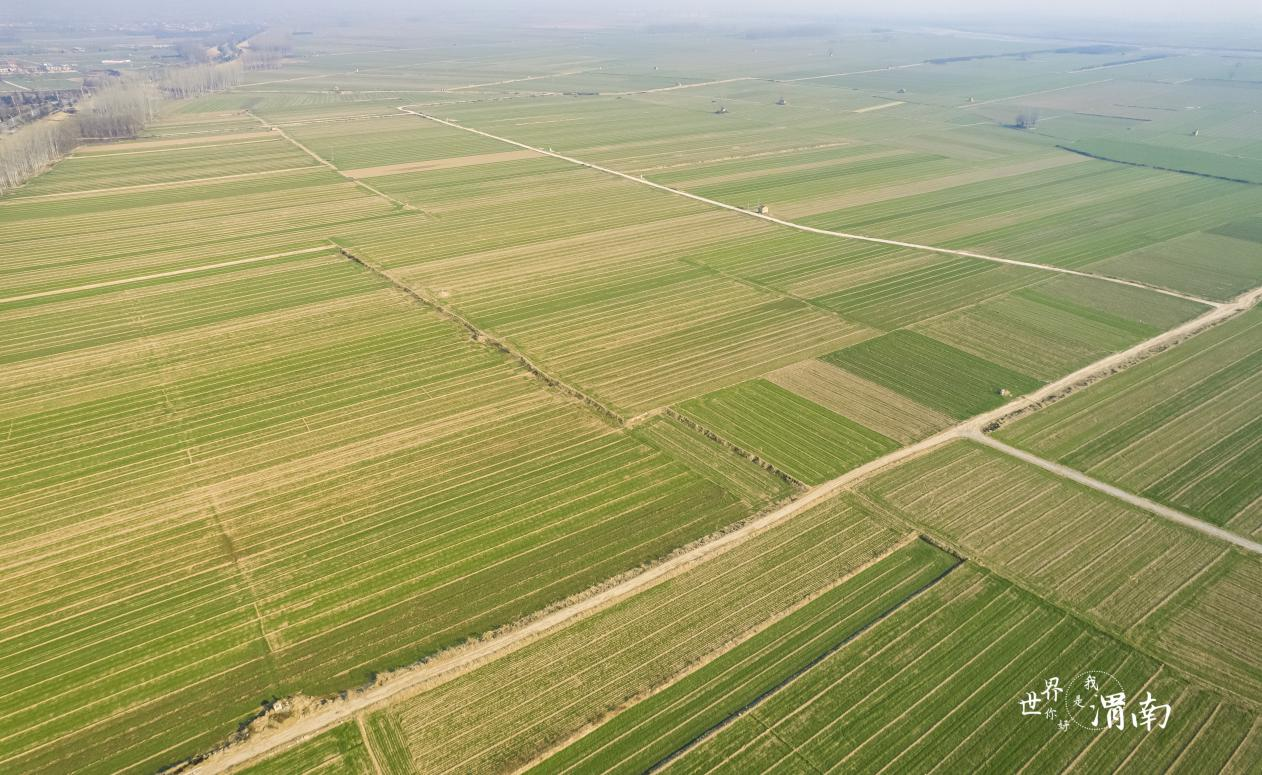 2022年渭南市完成45.5万亩高标准农田建设_fororder_图片1