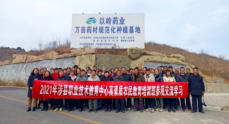 在希望的田野上，以嶺藥業中藥品質從源頭抓起