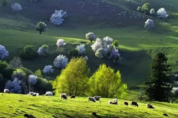 CNN评选出中国最美30个景点，你去过几个