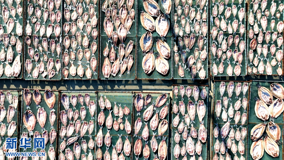 新春走基層|江蘇泗洪:魚幹飄香迎新年