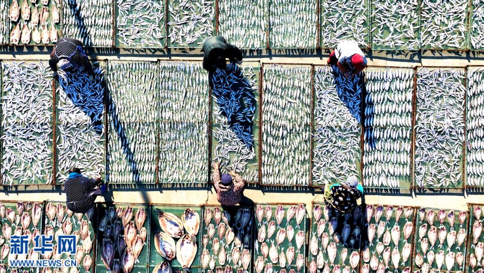 新春走基層|江蘇泗洪:魚幹飄香迎新年
