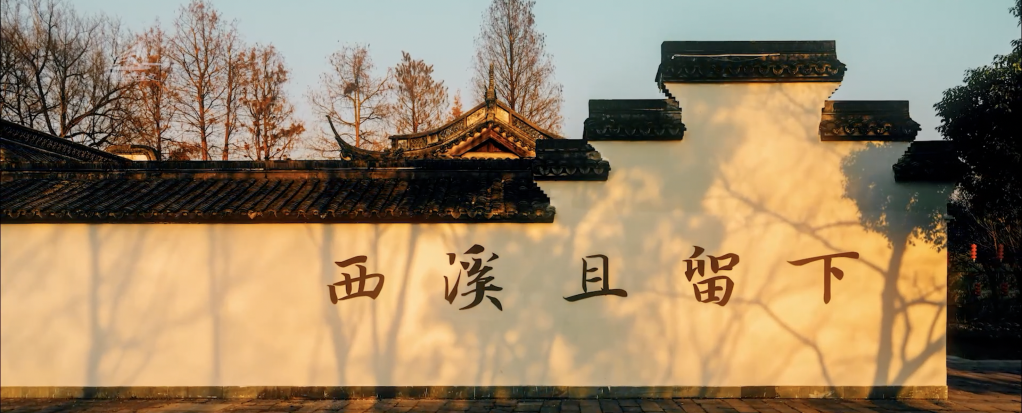 杭州西溪湿地：和谐共享的“城市绿芯”