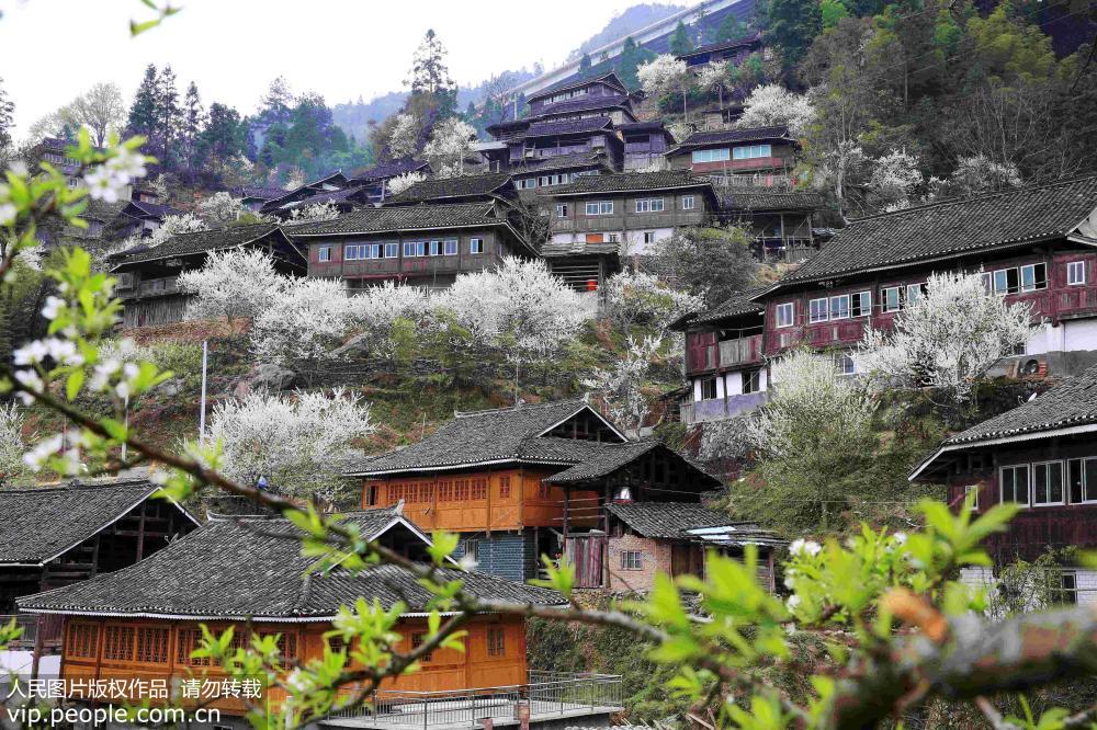 贵州从江：春暖花开村寨美