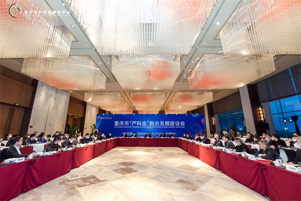 助力实体经济发展 重庆力图打造产科金融合创新模式_fororder_图片1