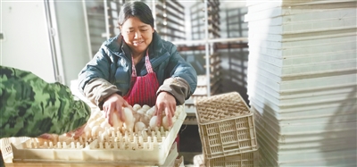 小鸭子“孵”出10亿元产业链_fororder_p3_b