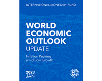 国际货币基金组织官网：_fororder_IMF1