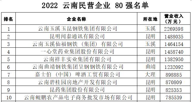 2022云南企业100强_fororder_4