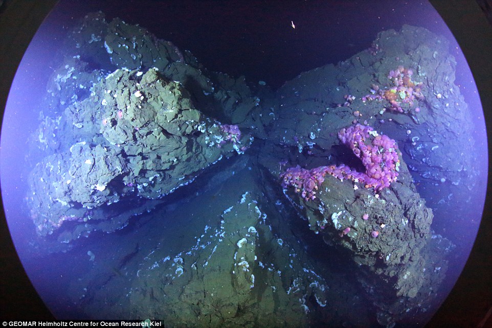 德研究团队成功拍摄海底火山绚丽细节