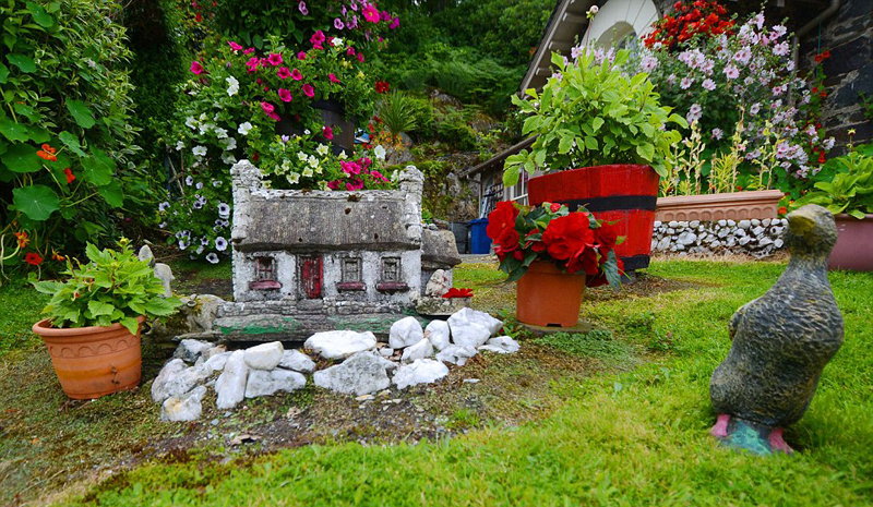 英七旬老人倾心16年打造多彩梦幻花园组图