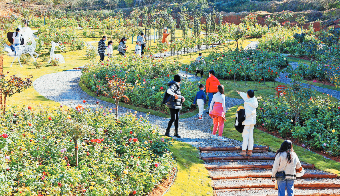 福建省首個縣級植物園投入使用_fororder_截圖20230109093020