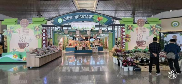 创新“N+N”模式 “四季云品·产地云南”电商年货节引爆云品新春抢购热潮