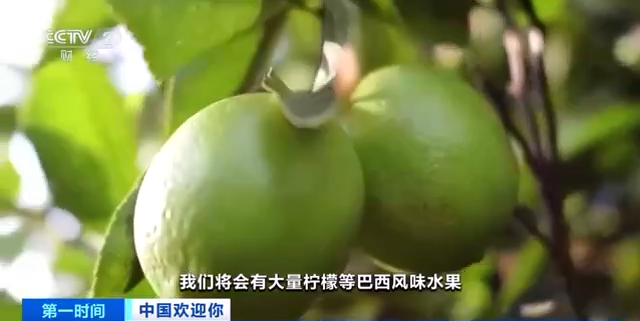 巴西水果商：期待擴大對華出口貿易