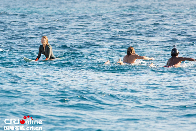 《鲨滩》片段惊现神秘生物 “绯闻女孩”身陷战栗汪洋