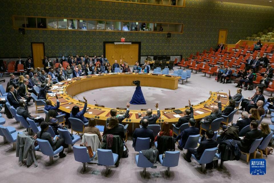 聯合國安理會通過敘利亞跨境人道救援授權延期決議