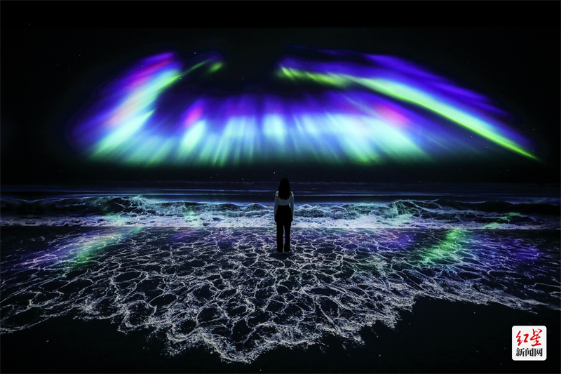 （转载）全球知名沉浸式美术馆ARTE MUSEUM落馆成都