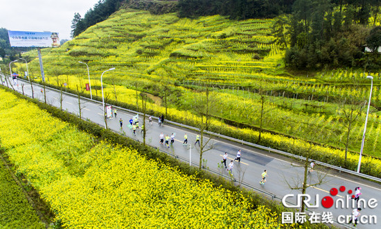 【CRI专稿 列表】“十二金钗”乡村旅游文化节将于3月31日在南川启动