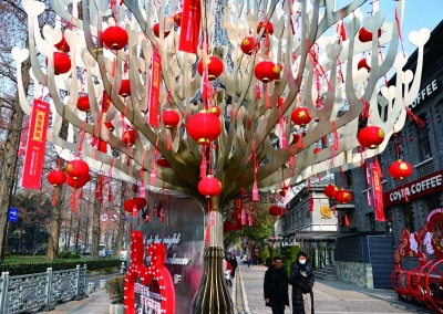 南京：新春灯饰亮相 节日氛围渐浓