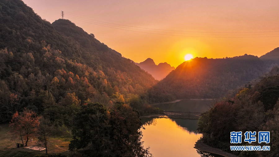 廣西百色:晚霞映紅楓 唯美如油畫