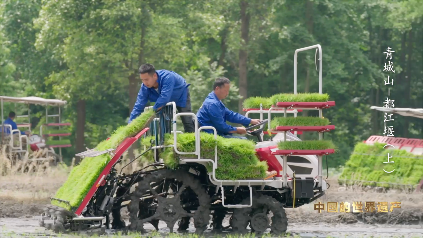 （转载）一堰“岷”古今 央视大型纪录片《人类的记忆——中国的世界遗产》之《青城山—都江堰》上集1月11日晚播出