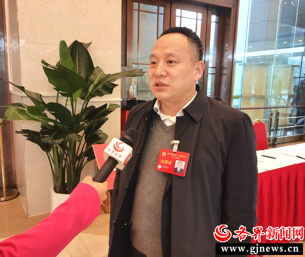 王俊平委员：提升监管效能 为注册会计师行业健康发展保驾护航
