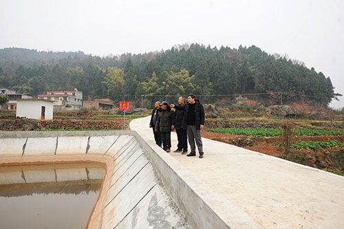 新春走基层 | 以工代赈促民增收 黄继光故乡的日子越过越红火_fororder_继光村支部书记顾勇给返乡农民工介绍家乡变化