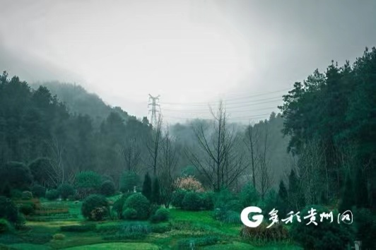 （中首）从16张“国家级”名片 看贵州生态示范创建