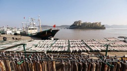 舟山：魚鲞飄香