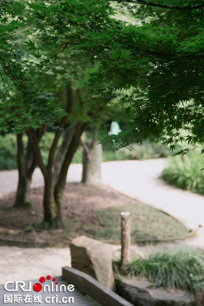 【CRI專稿 列表】重慶廣島園：隱藏在重慶市區的日本園林