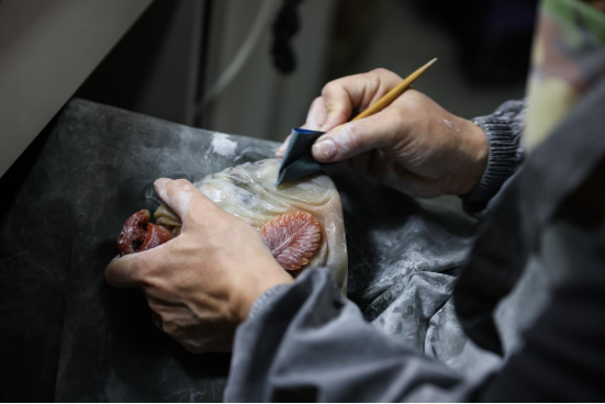 2022年全国工艺品雕刻工职业技能竞赛在上海工艺美院圆满落幕